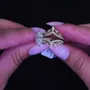 Marquise Cut Diamond White Yellow Gold Sterling Silver Insert Wedding Ring Set