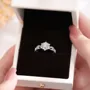 Round Cut Moissanite Diamond White 925 Sterling Silver Halo Engagement Ring