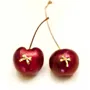 18K Gold Plated Ribbon Stud Earrings